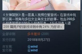 成人区国产,国产生态下的成人区发展概览