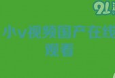 国产91小视频,揭秘国内短视频平台的魅力与挑战
