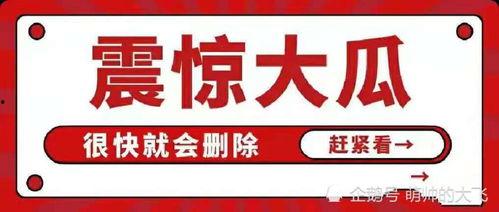 吃瓜八卦娱乐圈公众号,揭秘明星背后的秘密与真相!
